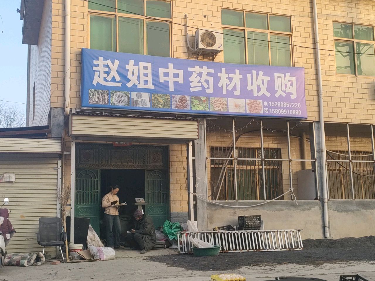 赵姐中药材收购