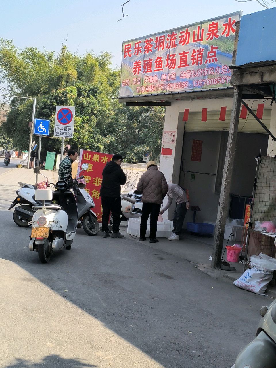 民乐茶垌流动山泉水养殖鱼场直销点