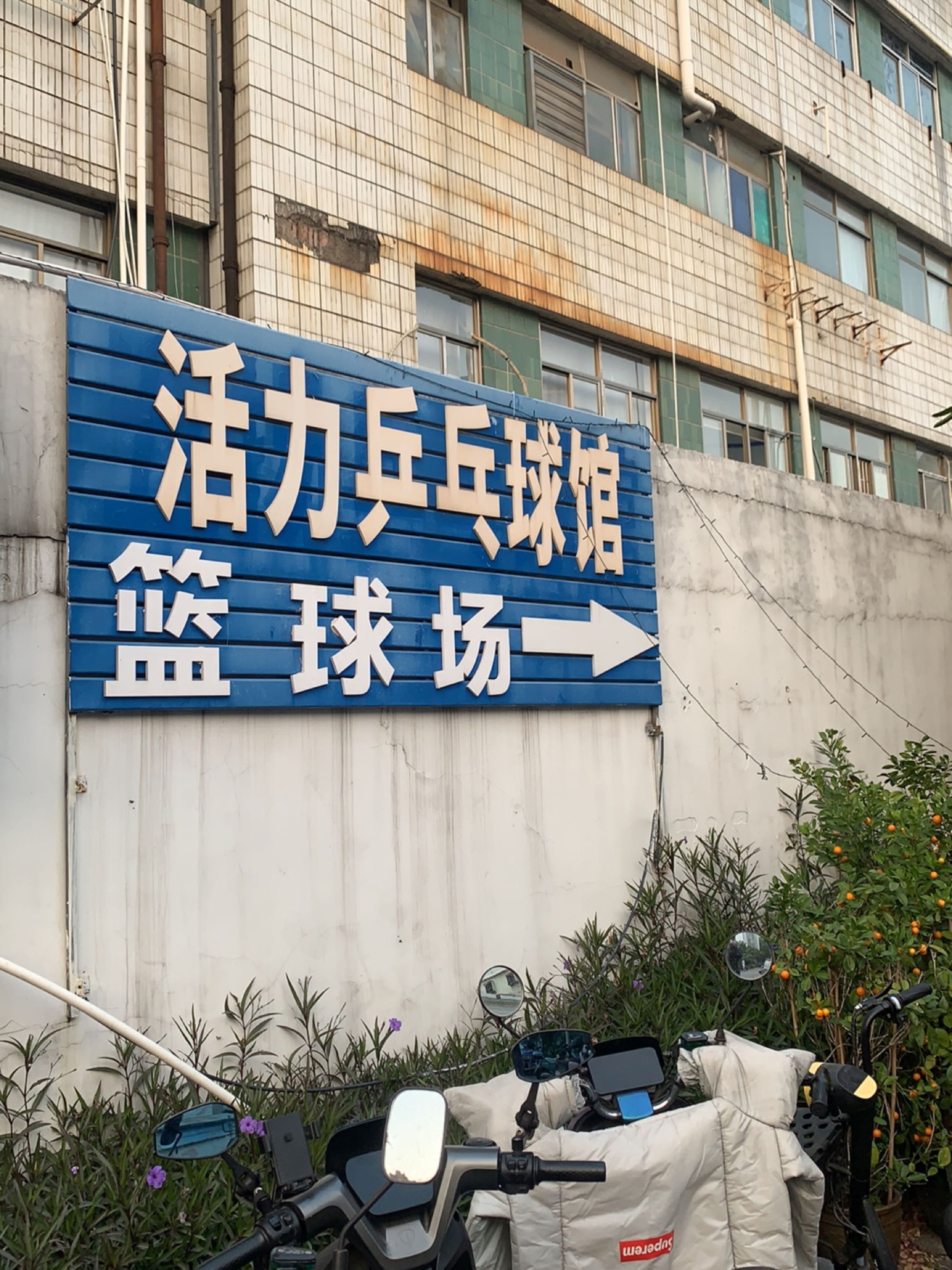 活力乒乓球馆