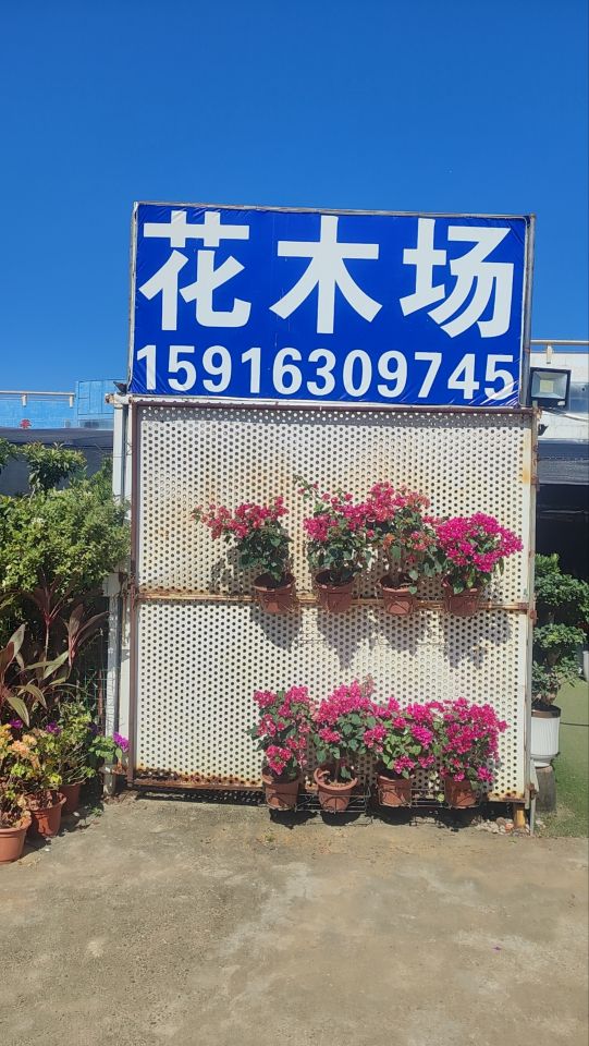 绿景花木场