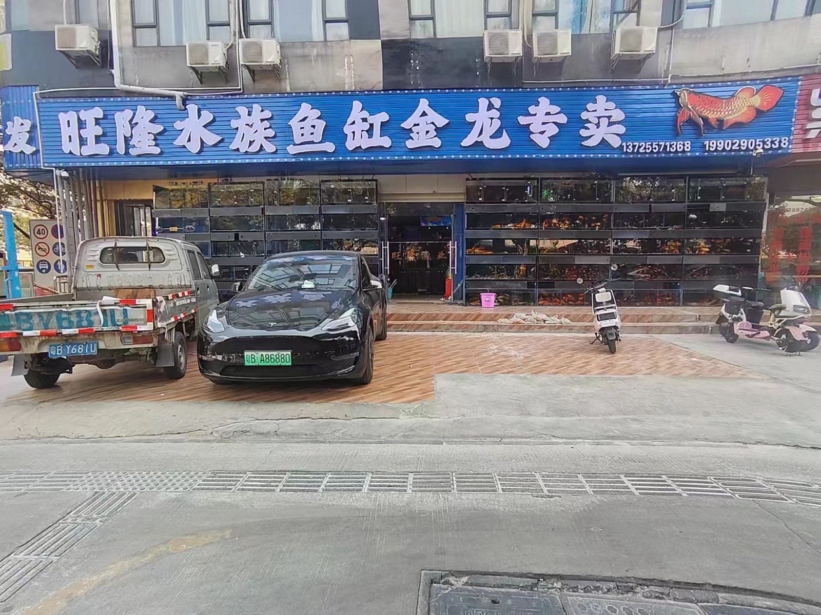 旺隆水族馆(永安坊店)