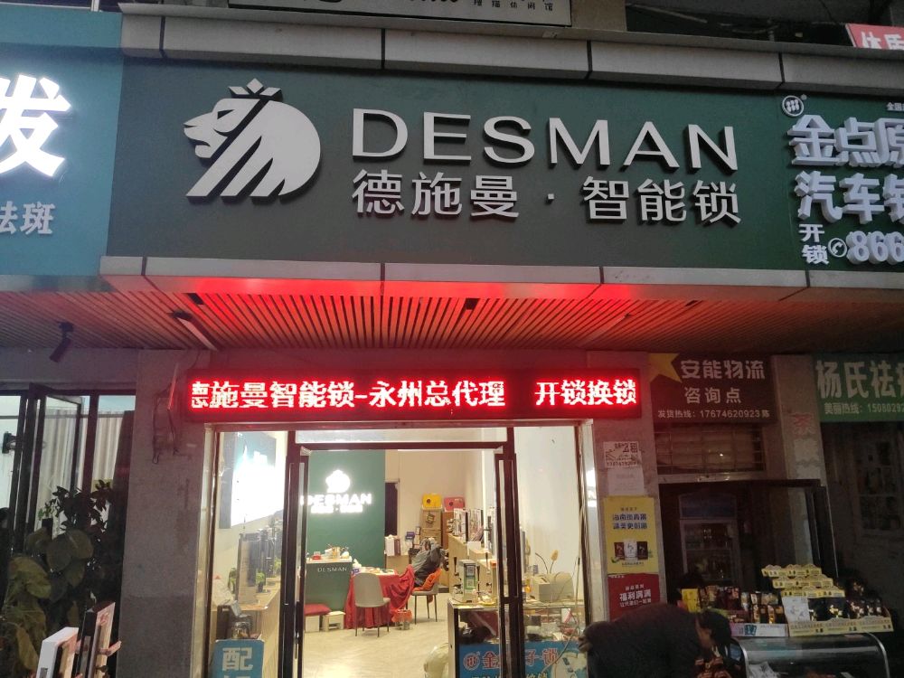 德施曼智能锁开锁换锁(永州总代理)