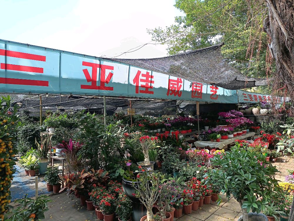 亚佳威园艺