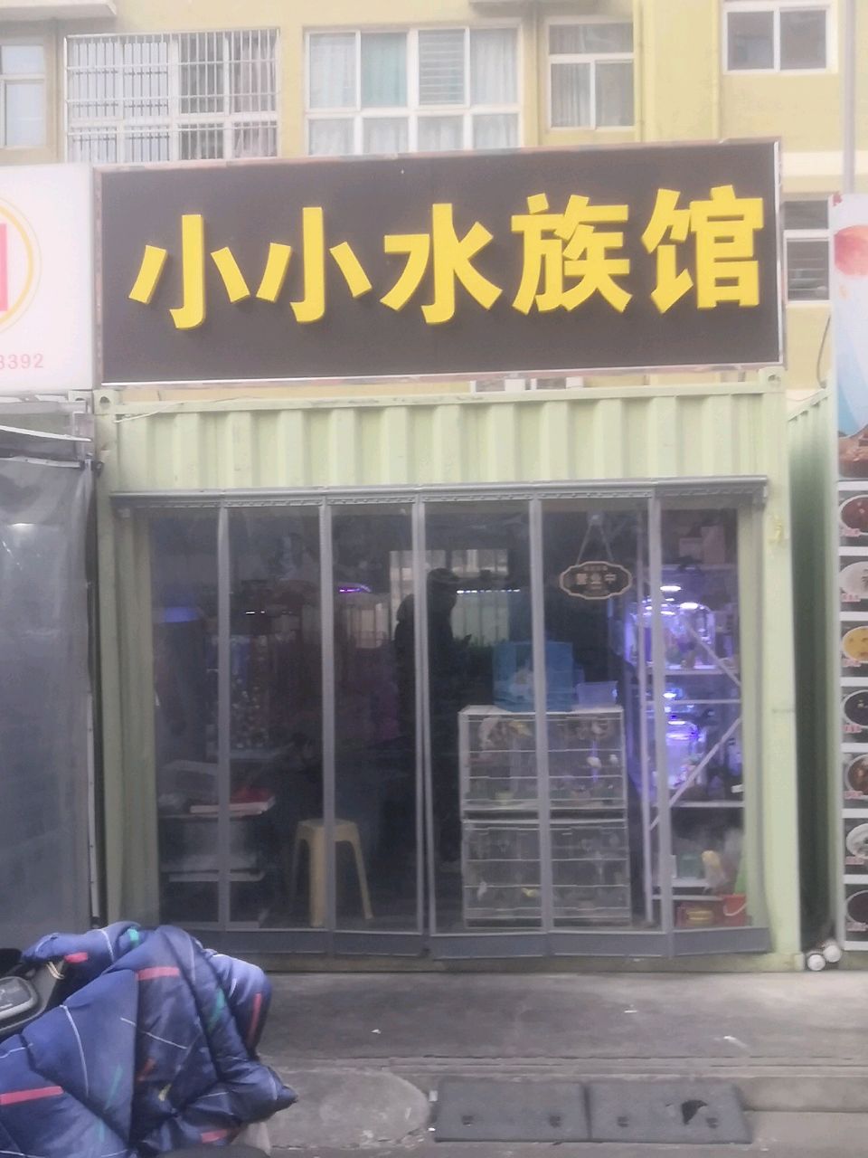 小小水族馆
