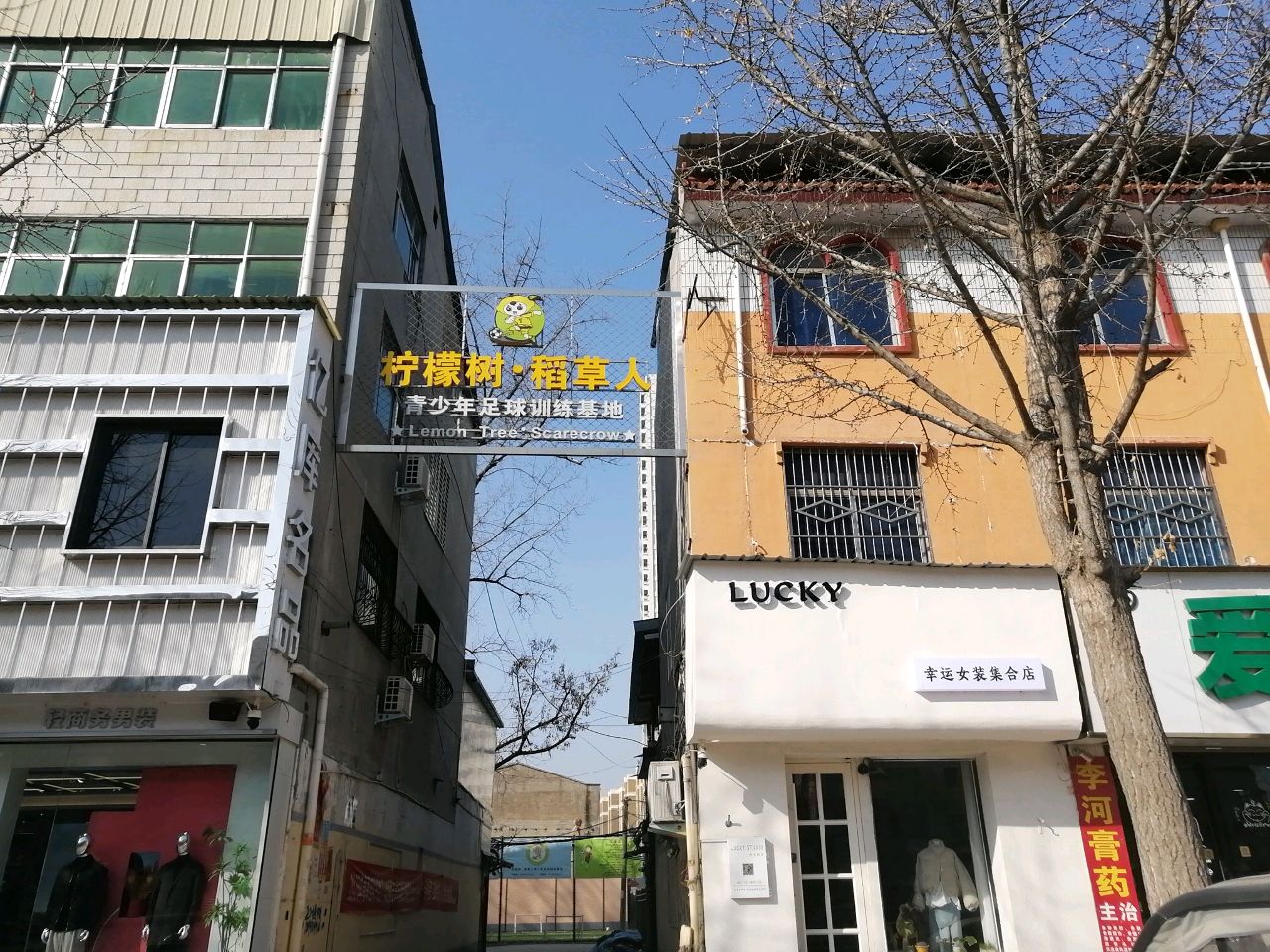 柠檬树·稻草人青少年足球训练基地