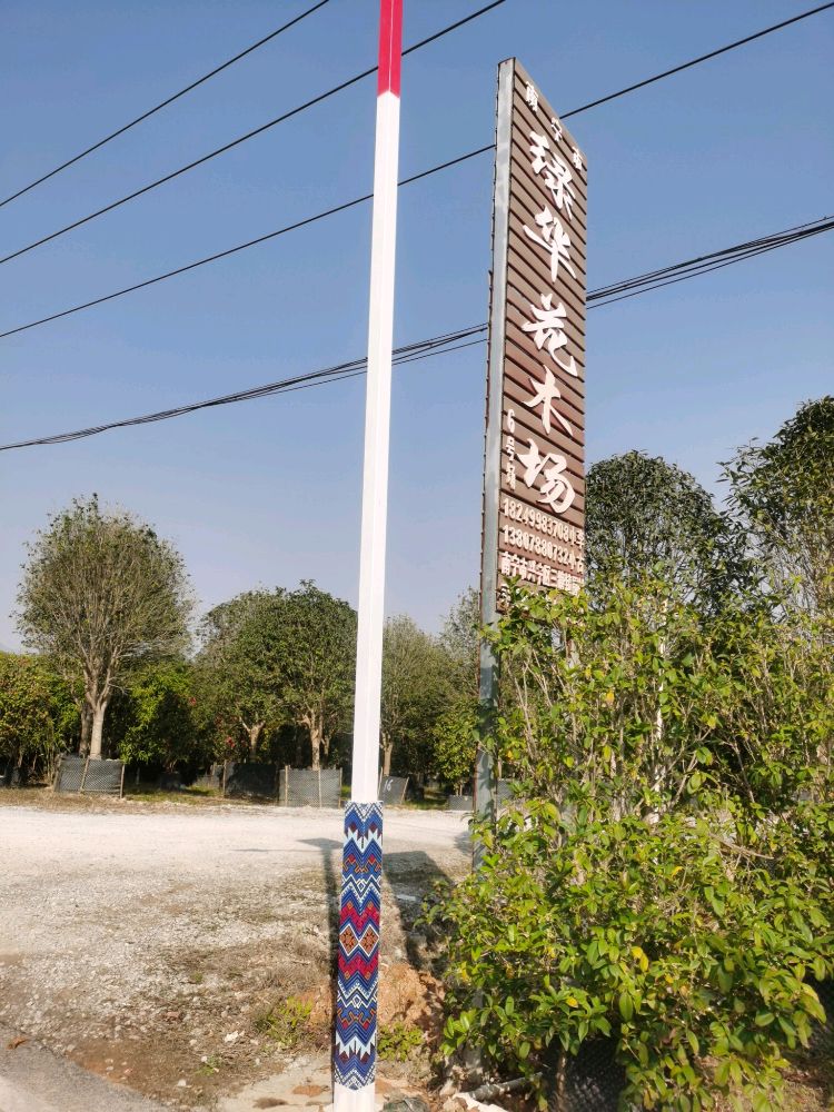 南宁市绿华花木场(那垌小学后面6号场地)