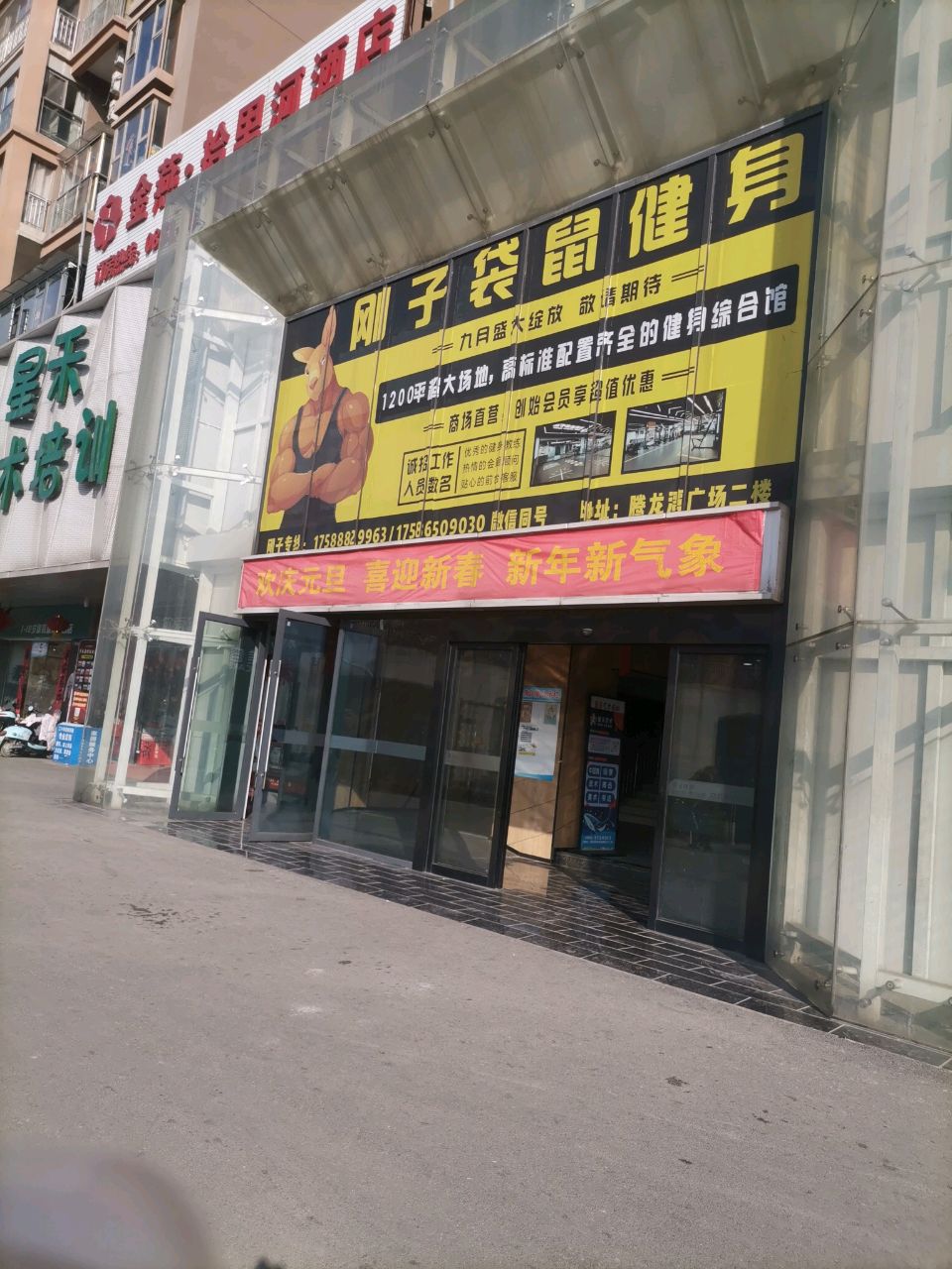 刚子袋鼠健身房