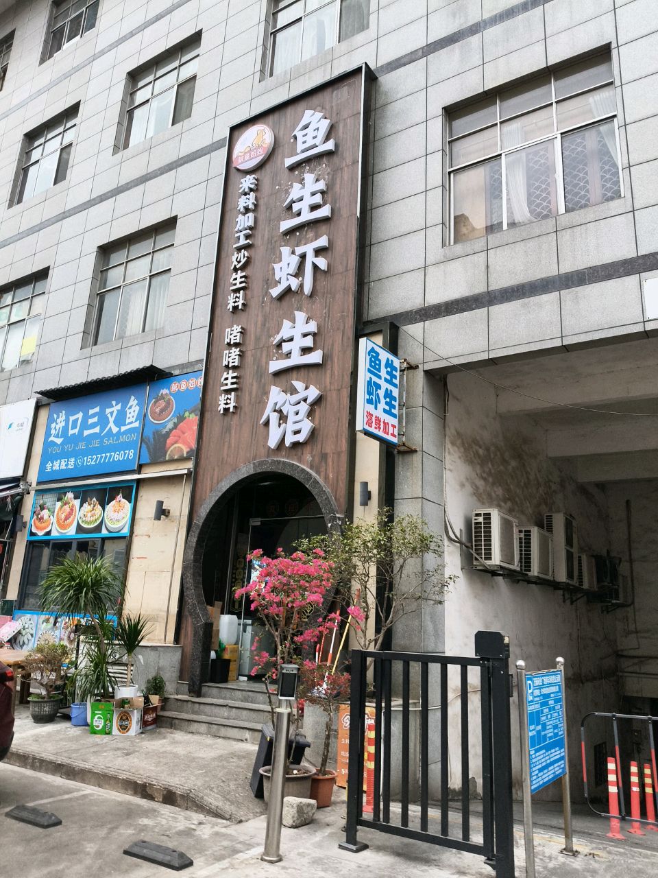 进口三文鱼