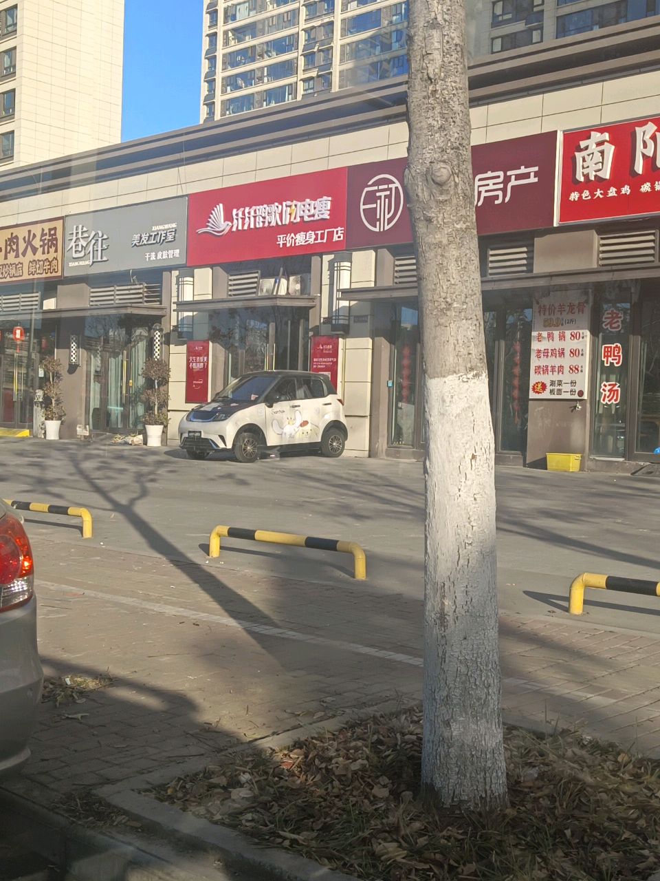 纤纤鹊歌|闪电瘦