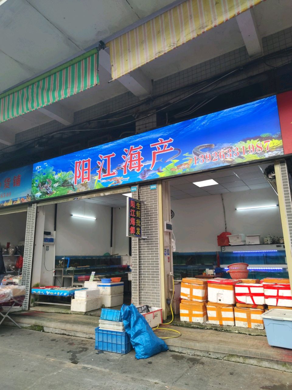阳江海产