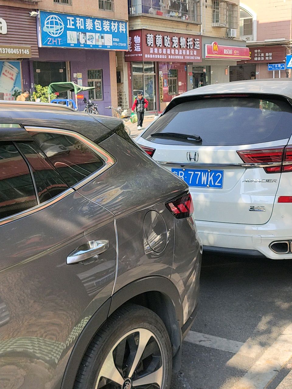 萌萌哒宠物托运