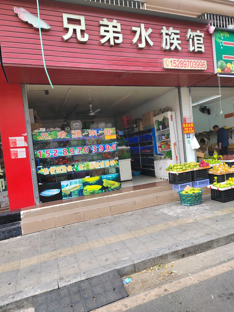 兄弟水族馆