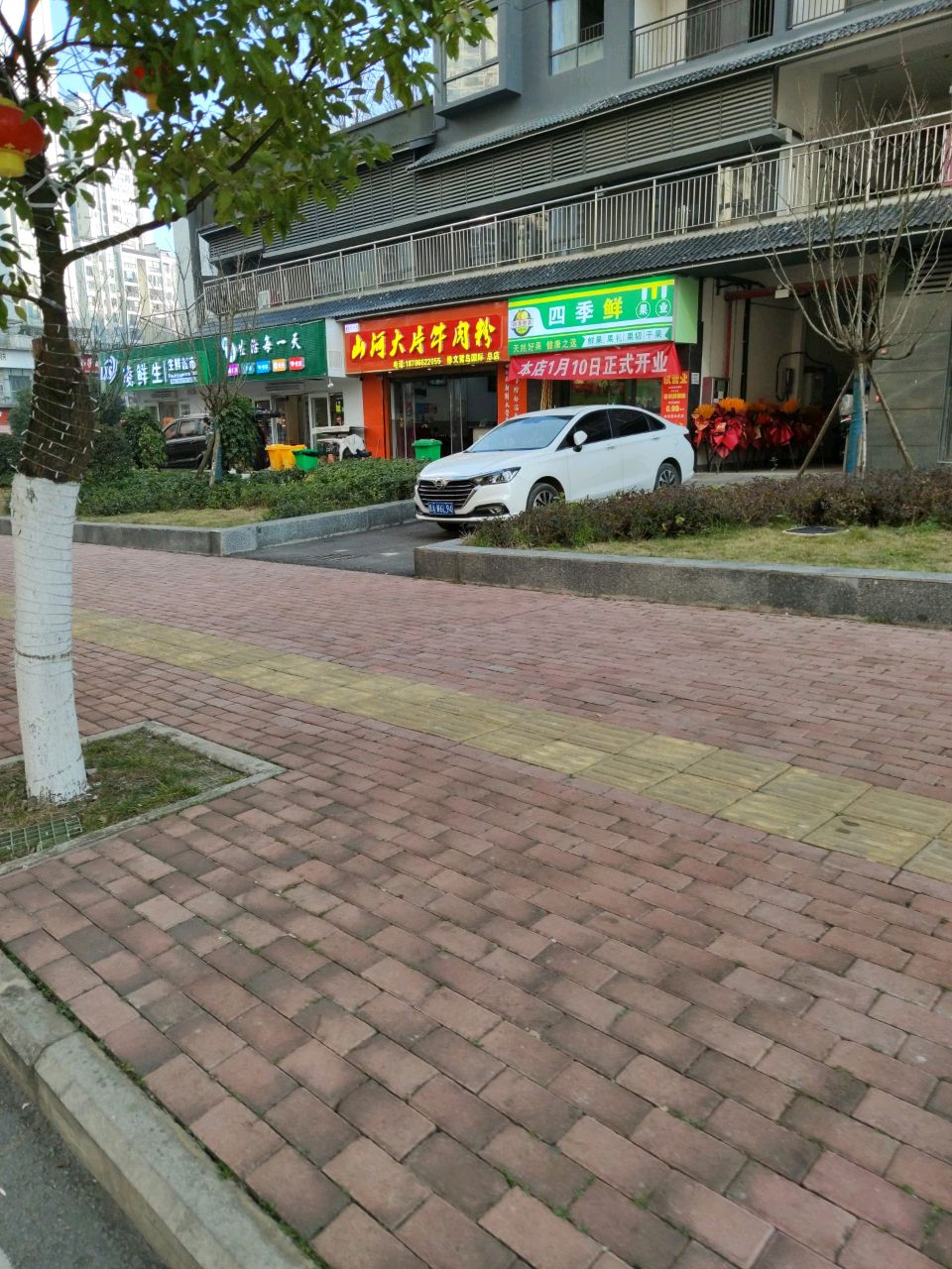四季鲜果业