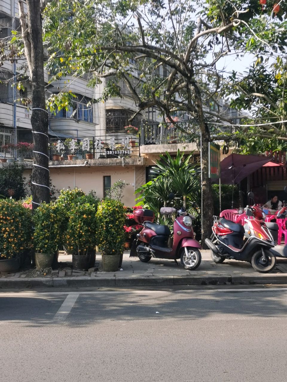 私享园艺(兴隆米厂住宅区店)