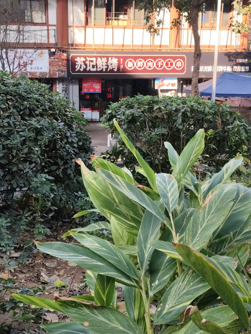 苏记鲜烤(三星街店)