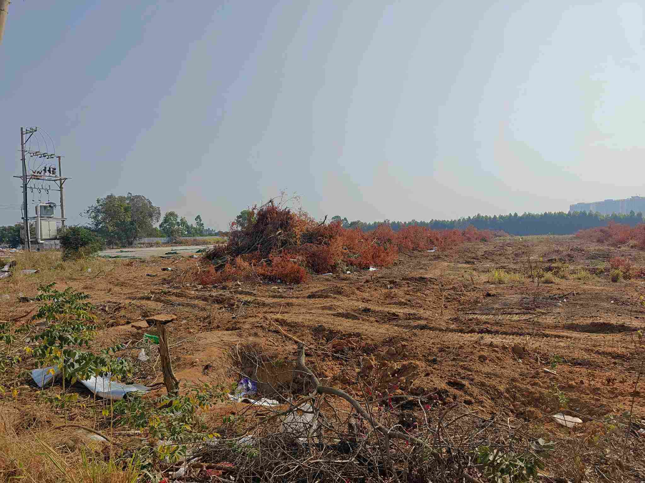 东方雷音无动力乐园