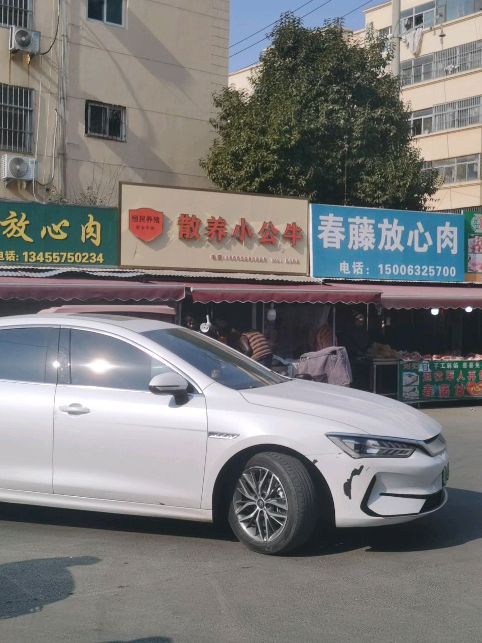 散养小公牛(清真)