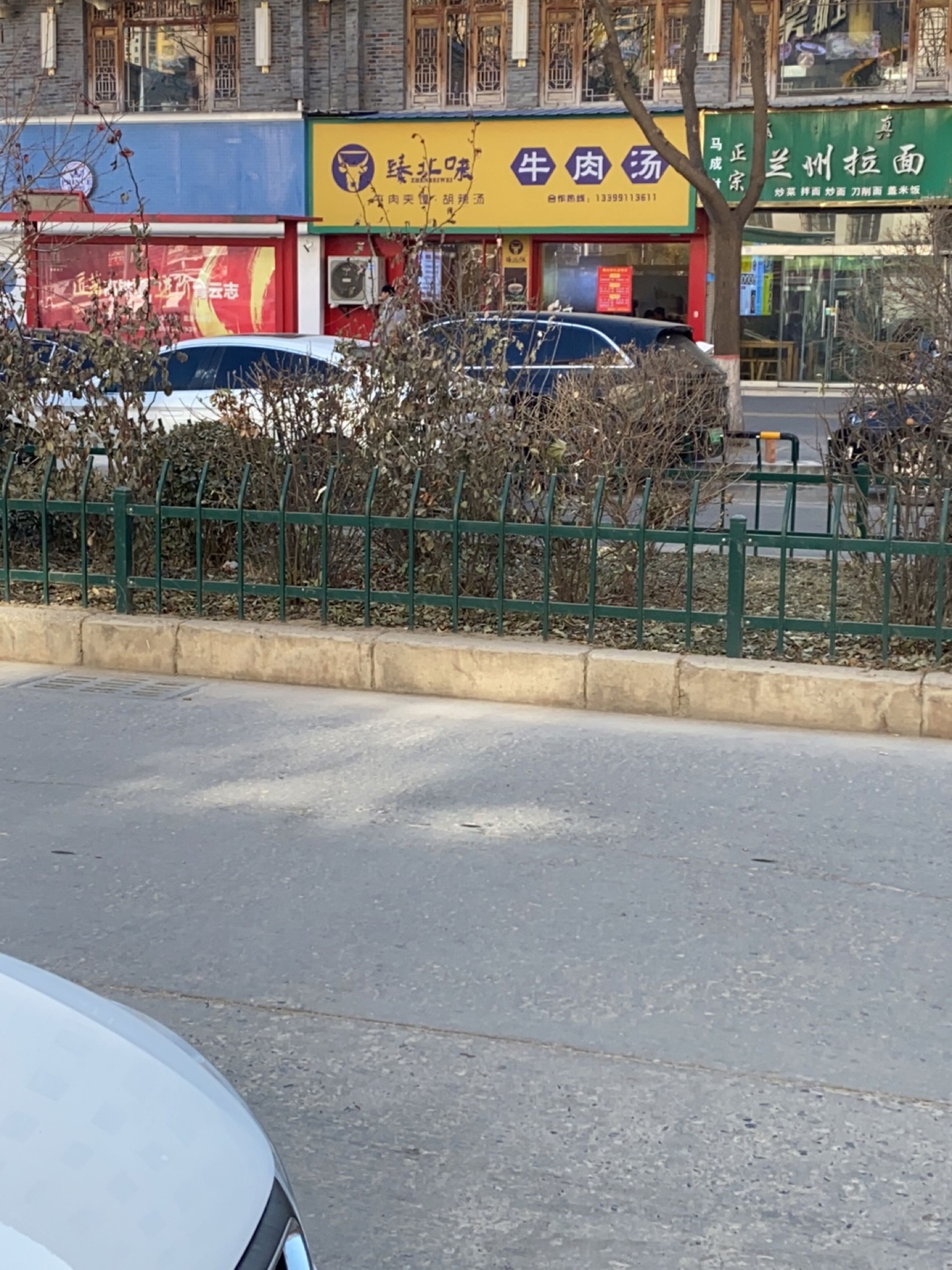 清真马成财正宗兰州拉面