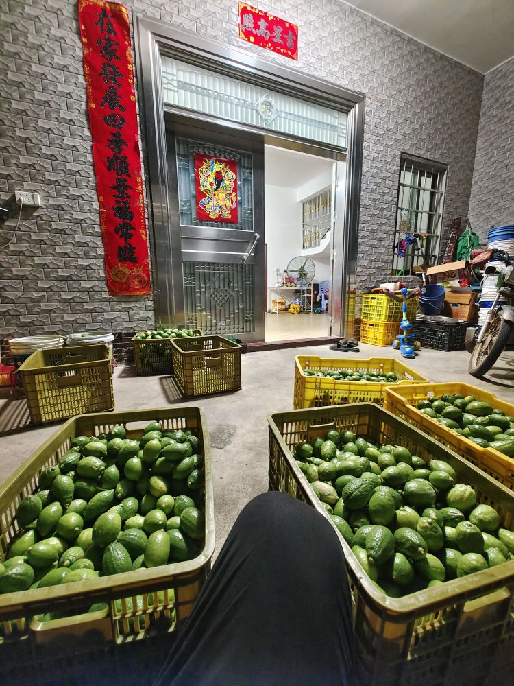 收购香水柠檬