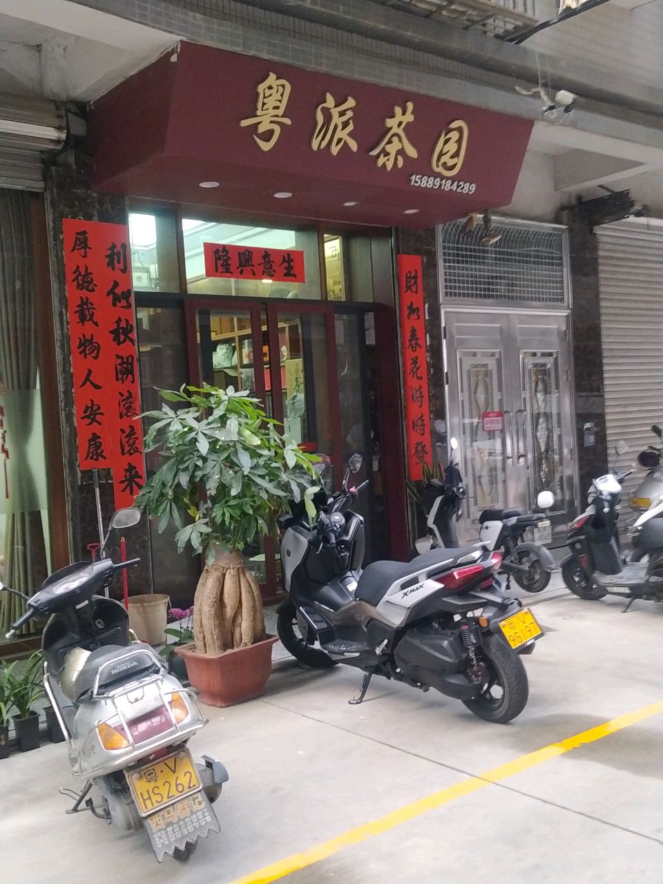粤派茶场