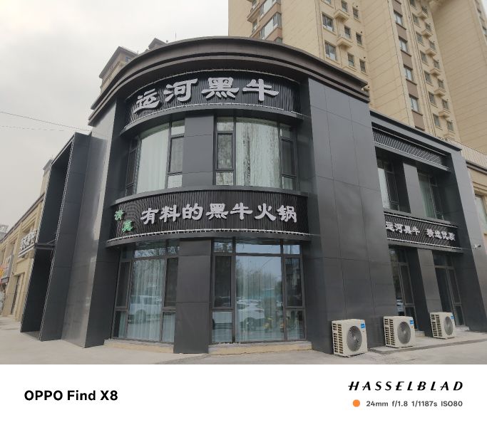 清真运河黑牛