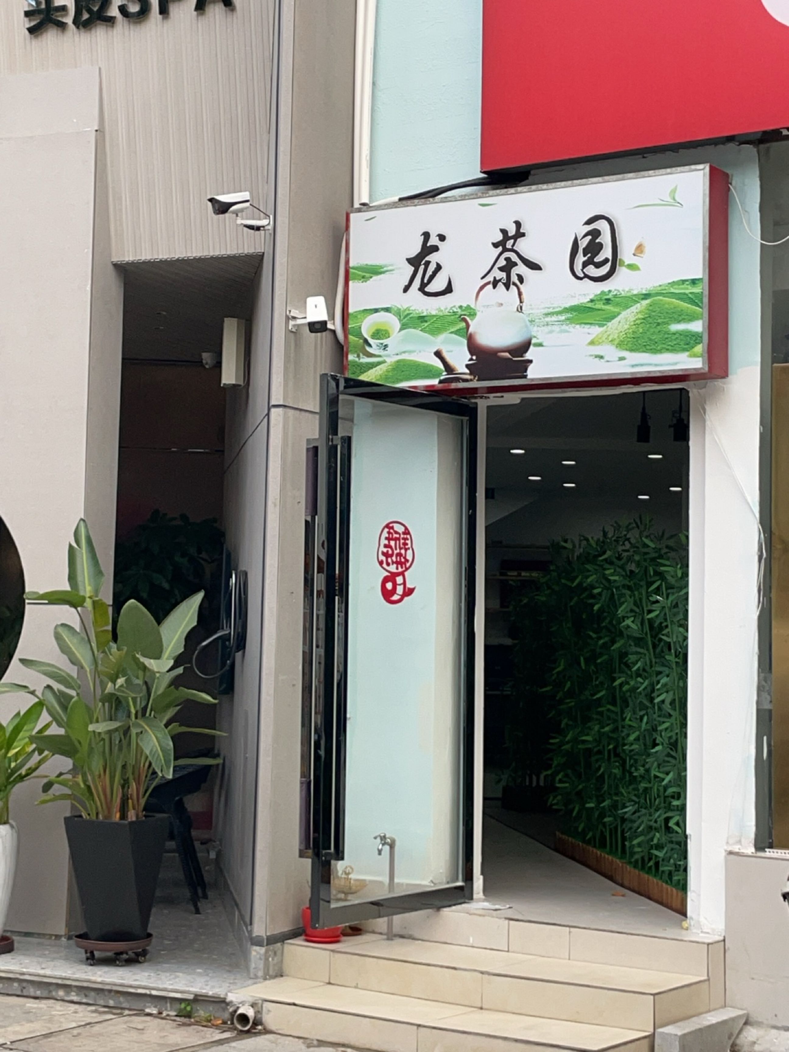 龙茶园