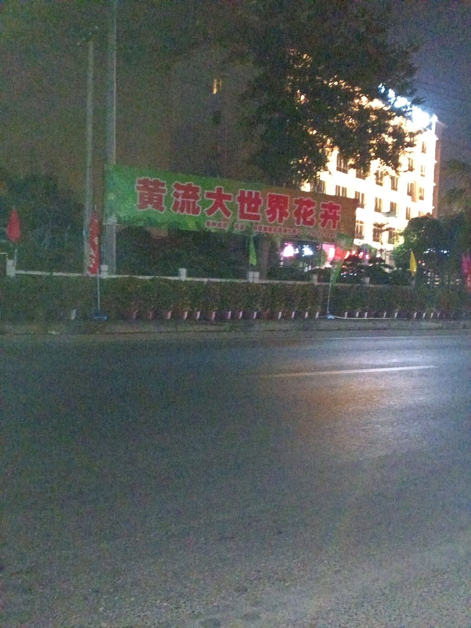 黄流大世界花卉