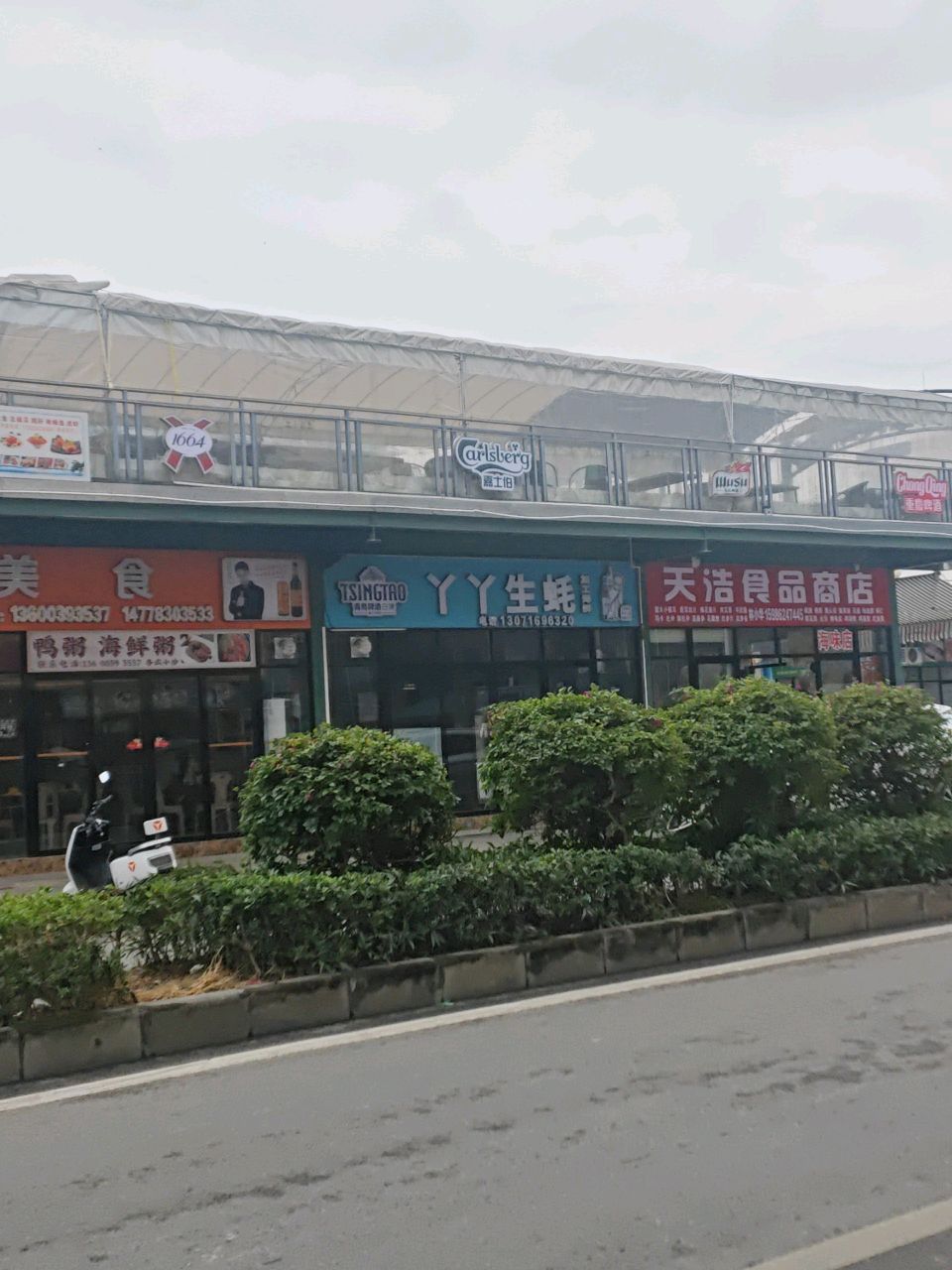 丫丫生蚝