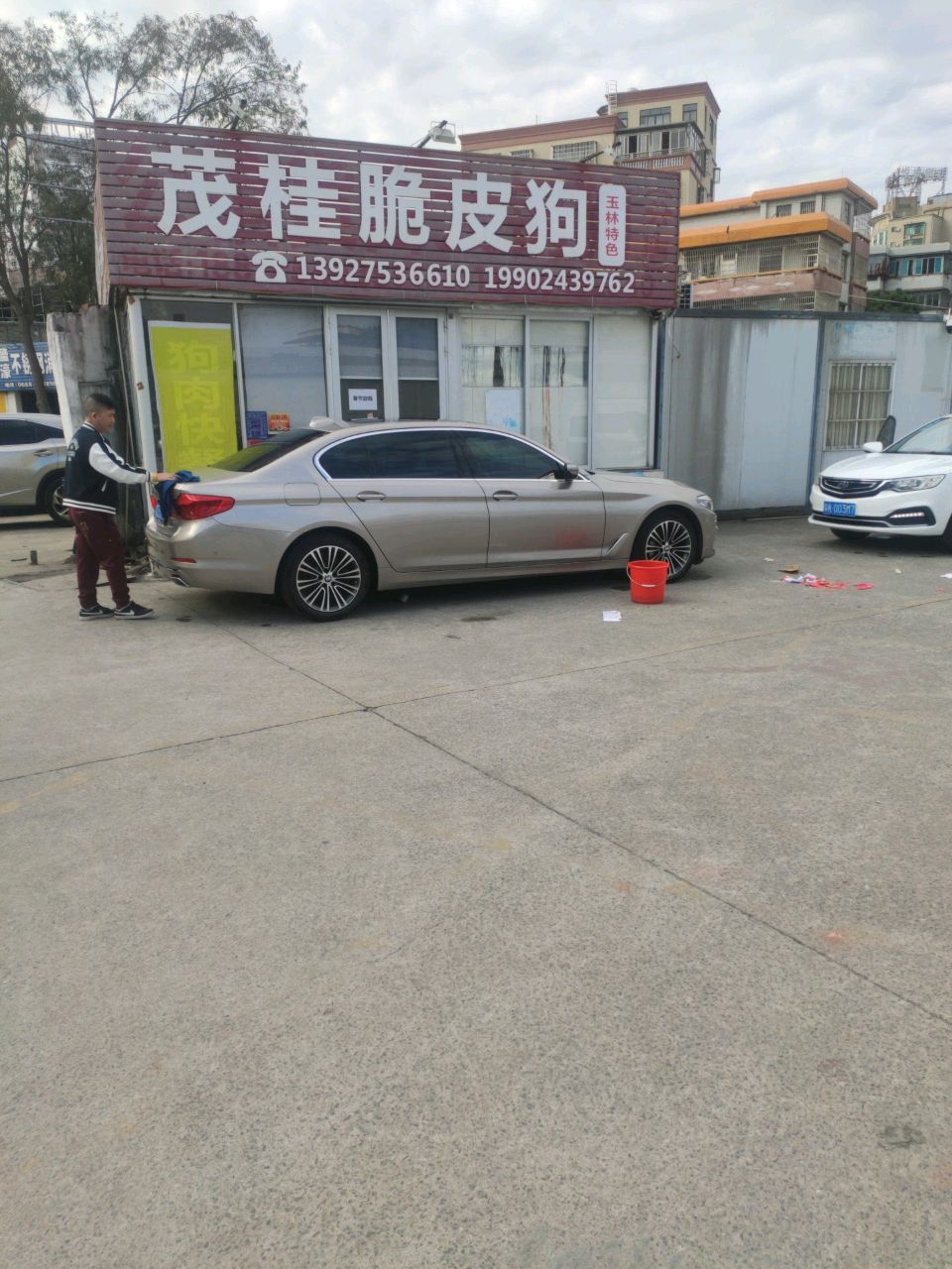 茂桂脆皮狗