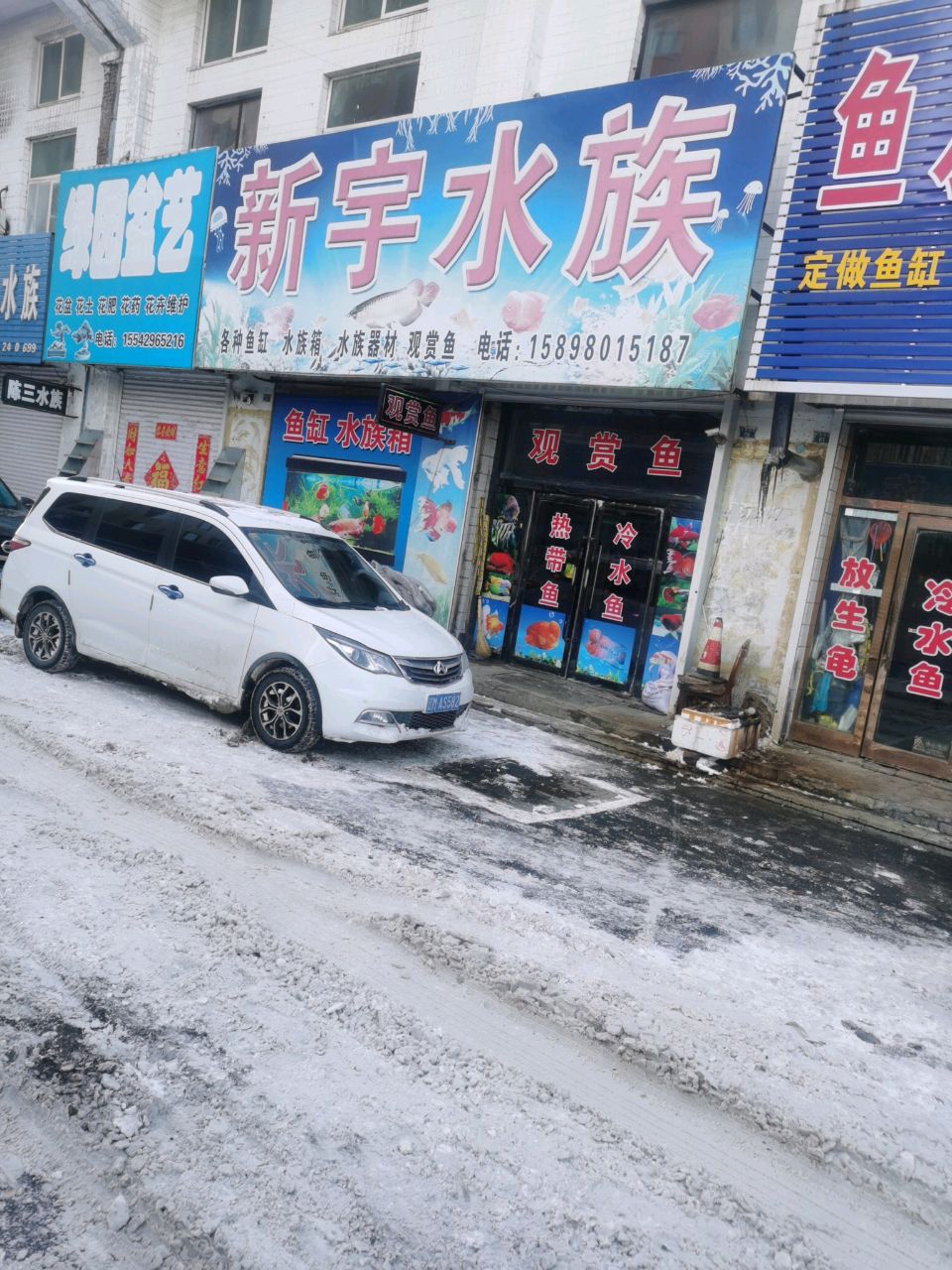 陈三水族
