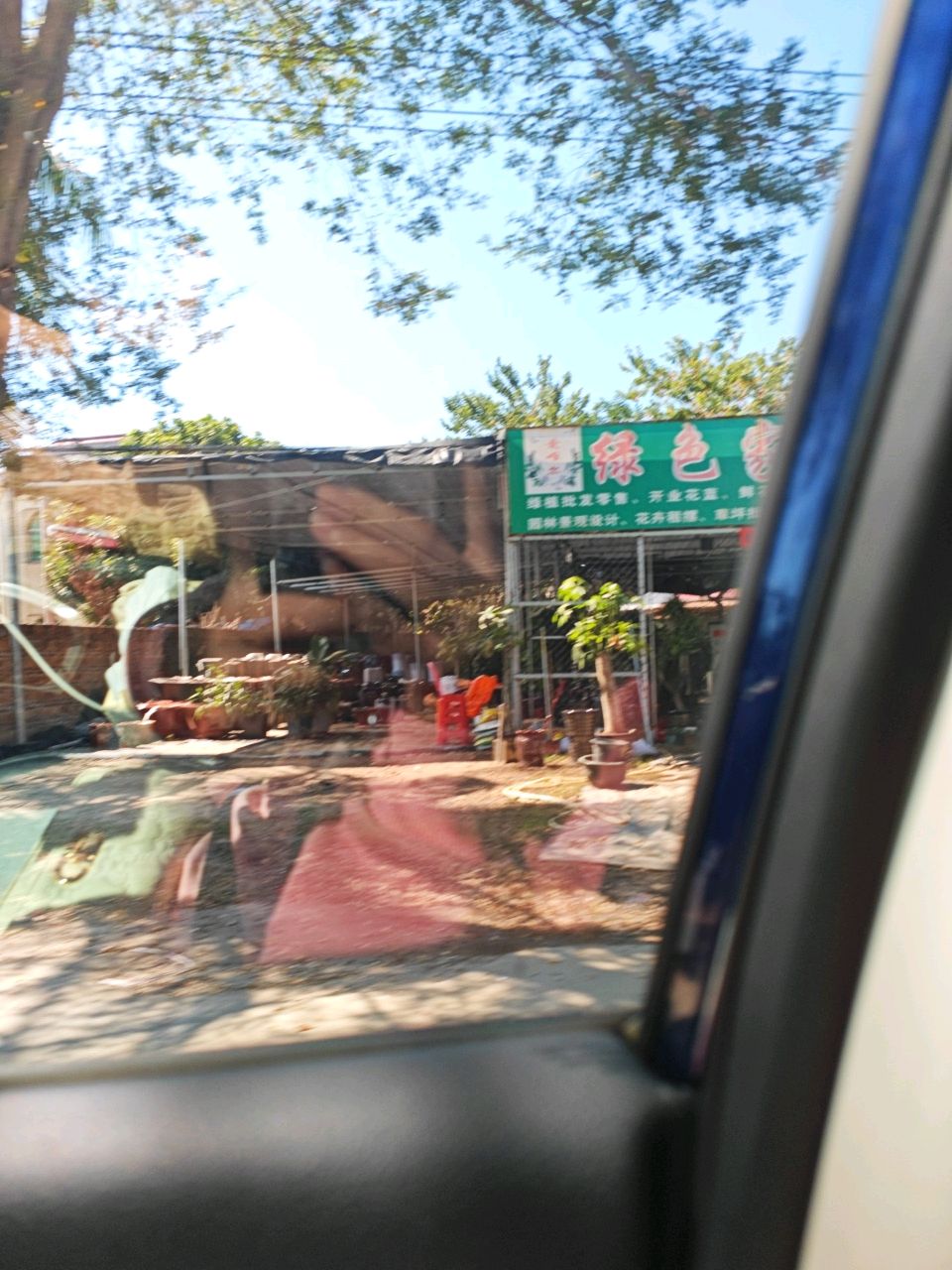 绿色家园花卉
