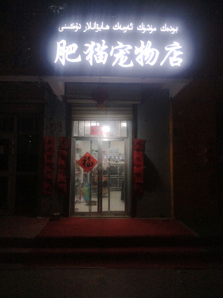 麦盖提县肥猫宠物店