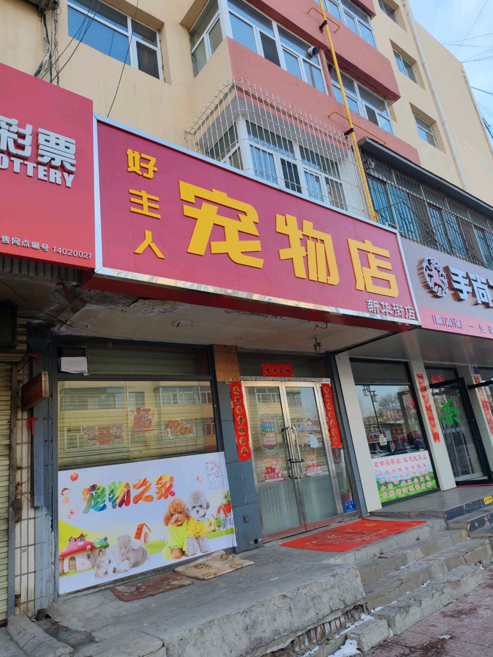 好主人狗友狗迷(大同总代理)