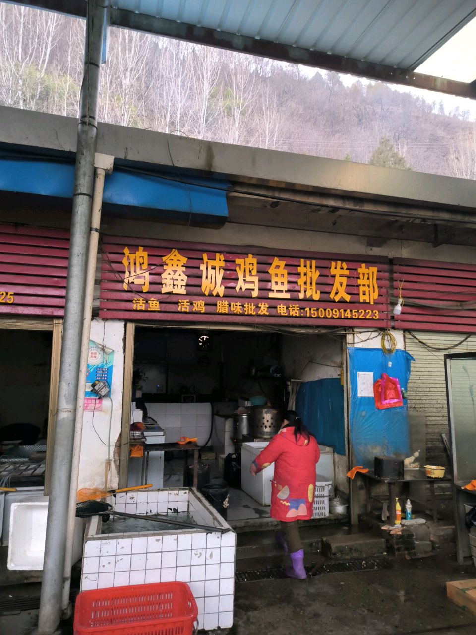 鸿鑫诚鸡鱼批发部
