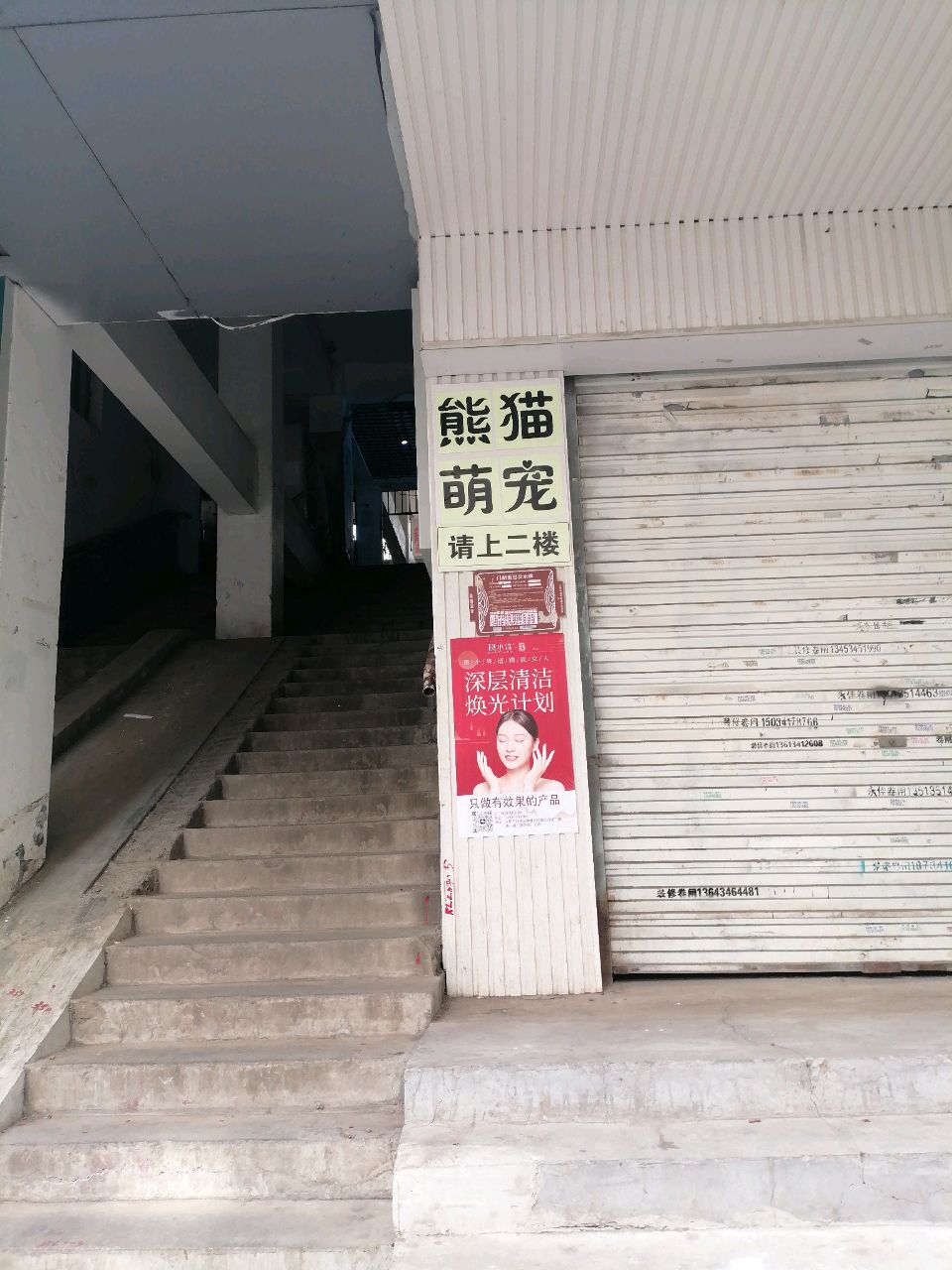 熊猫萌宠成长记(迎泽店)