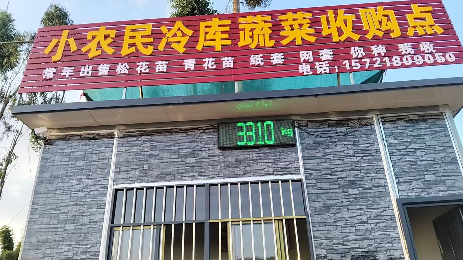 小农民冷库蔬菜收购点