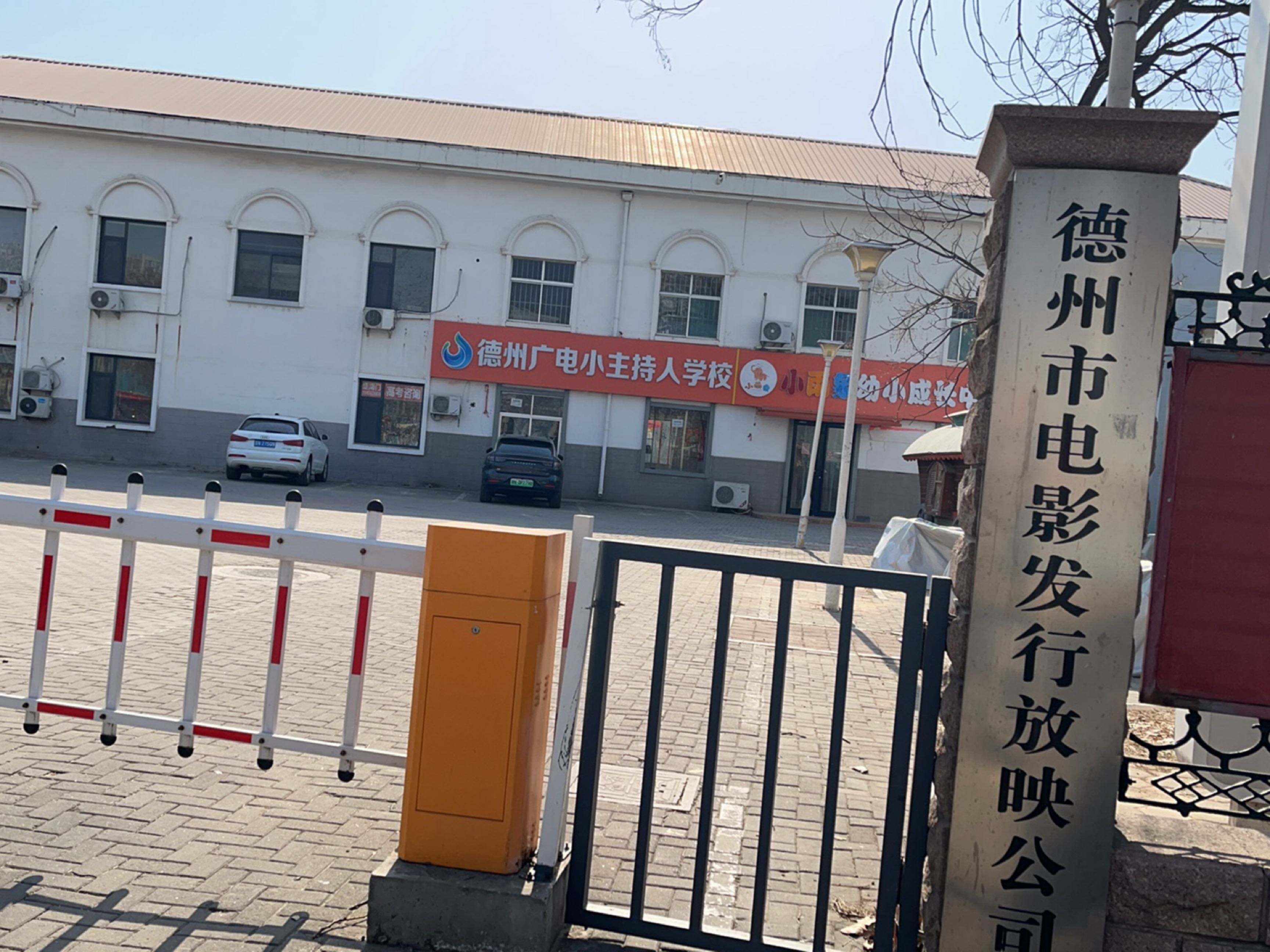 德州市电影公司