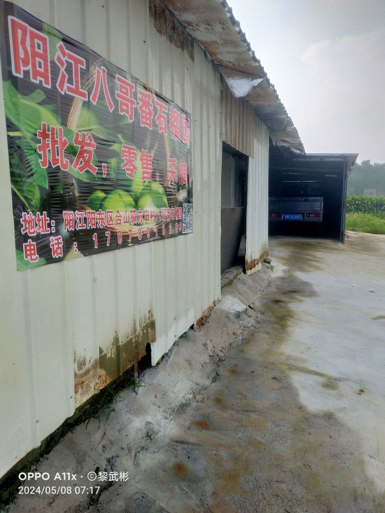 阳江八哥番石榴园