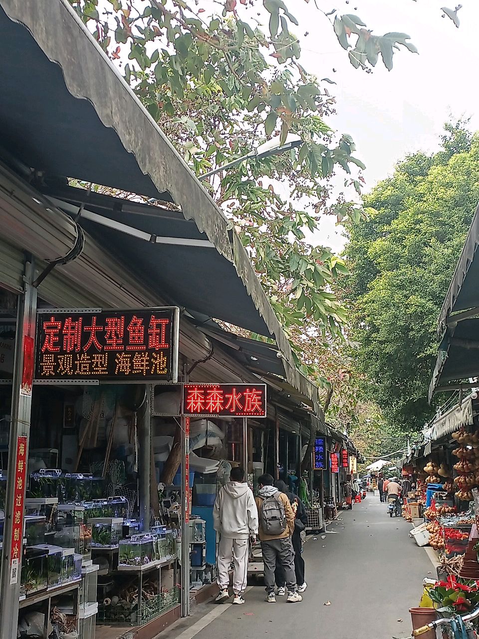 森森水族店