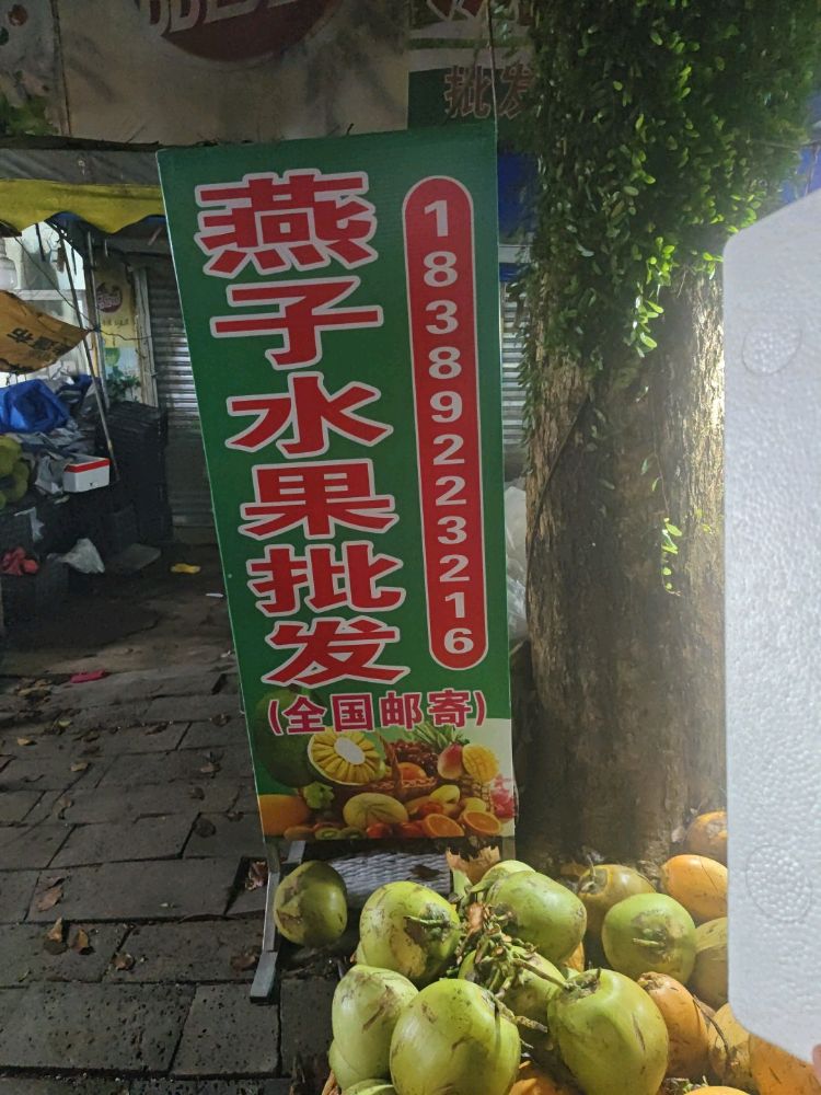 燕子水果批发