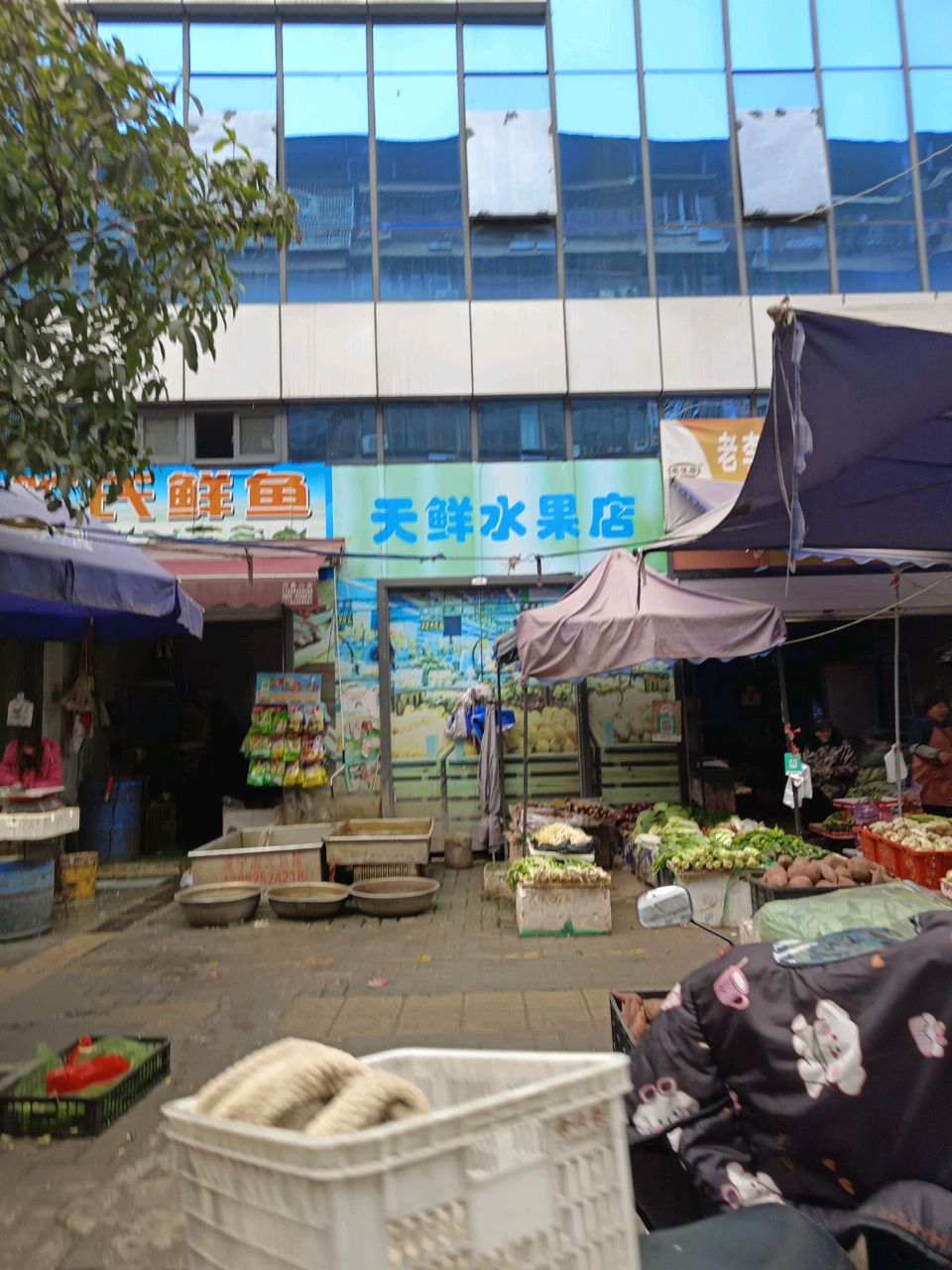 张氏鲜鱼店