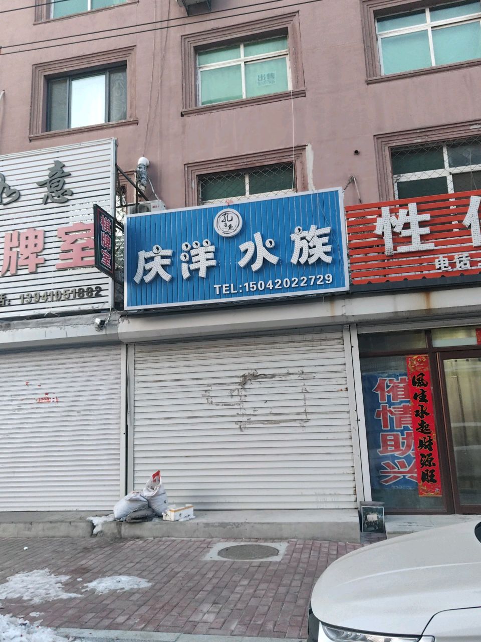 庆洋水族