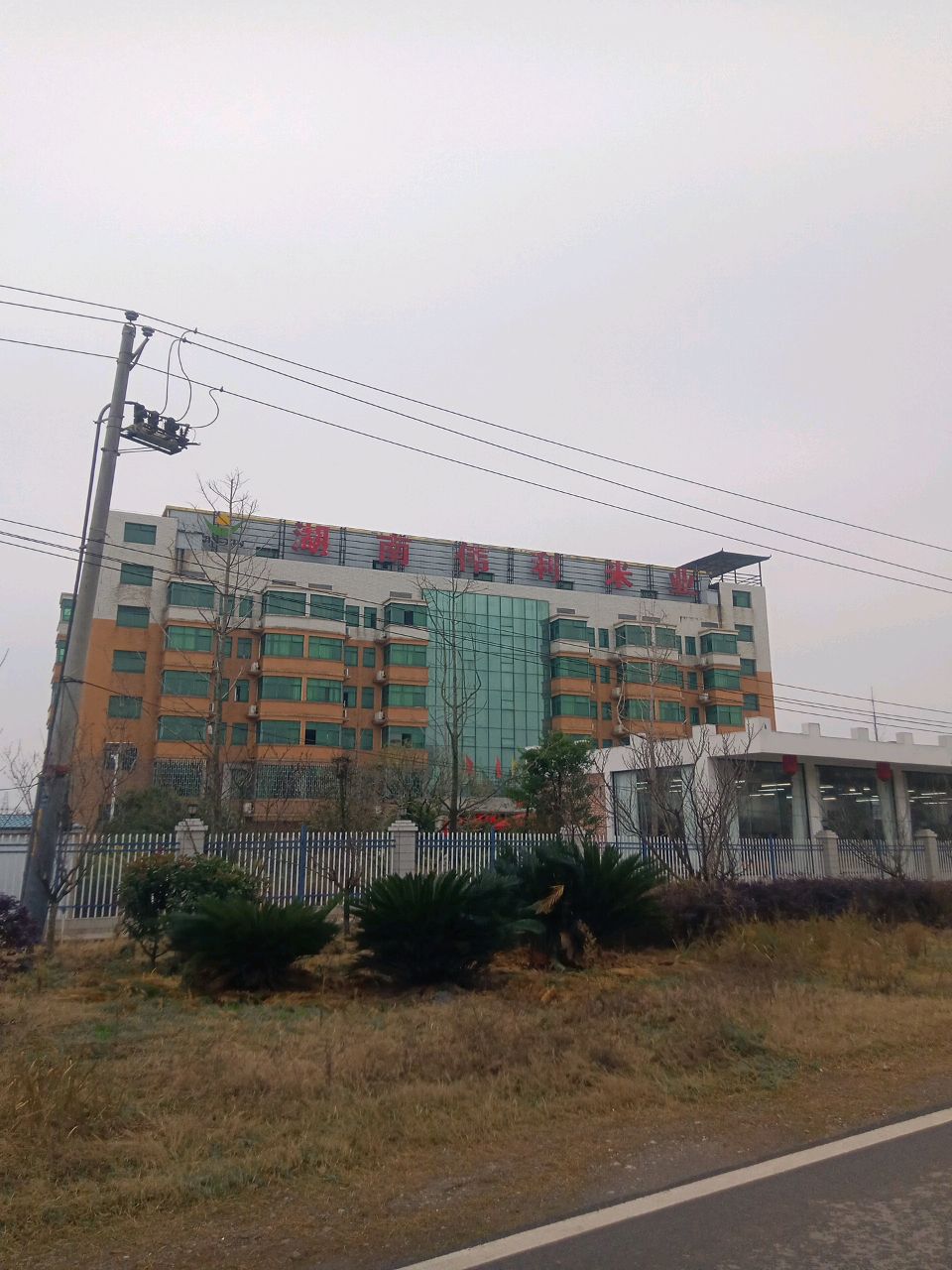 湖南伟利米业