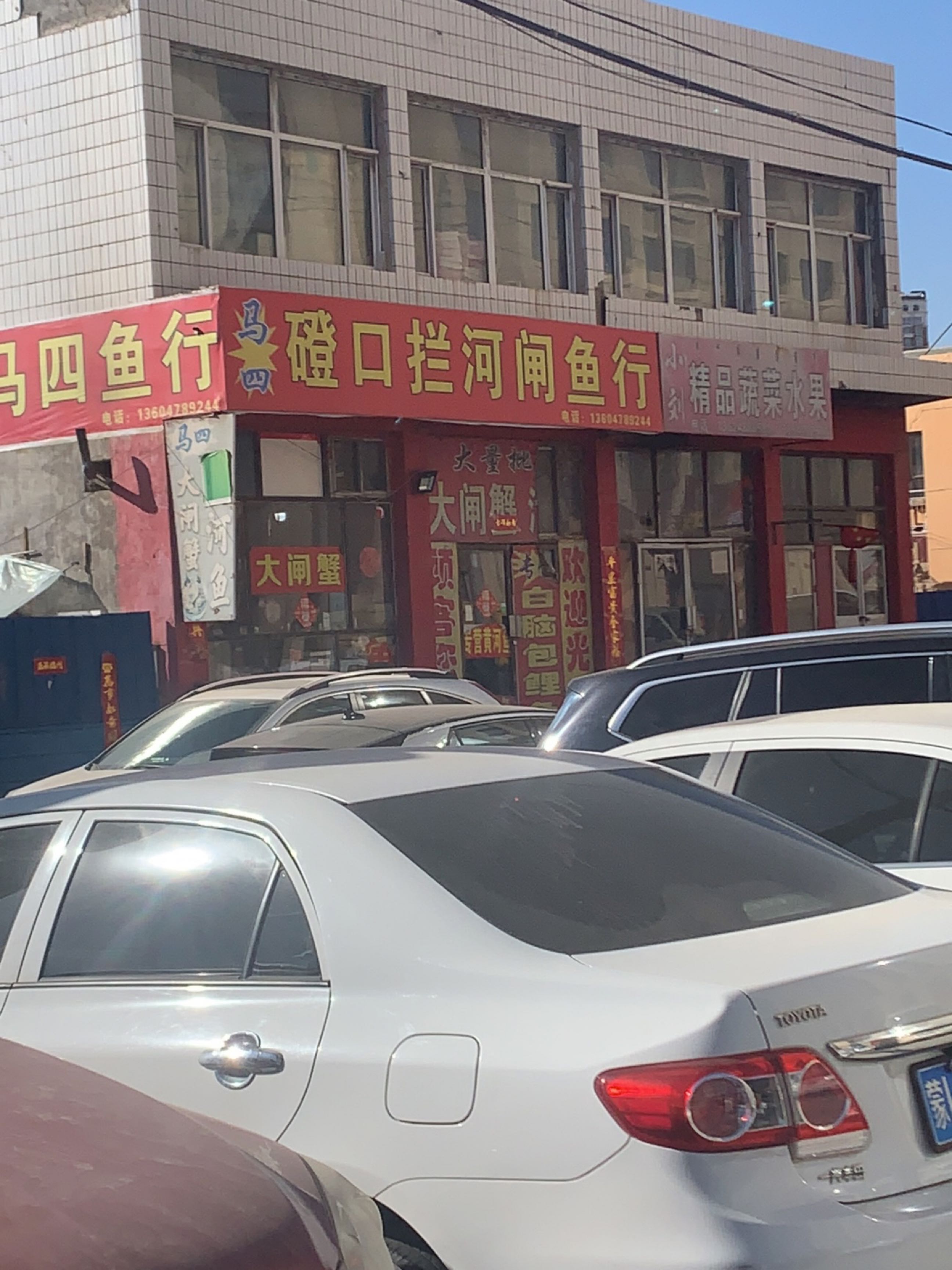 马四鱼行