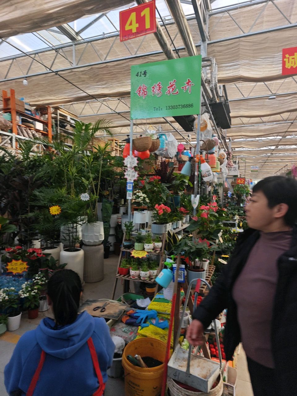 锦绣花卉