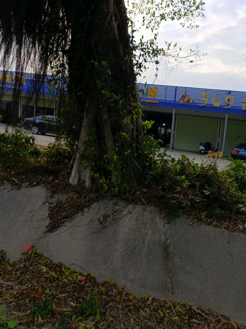 369台球馆