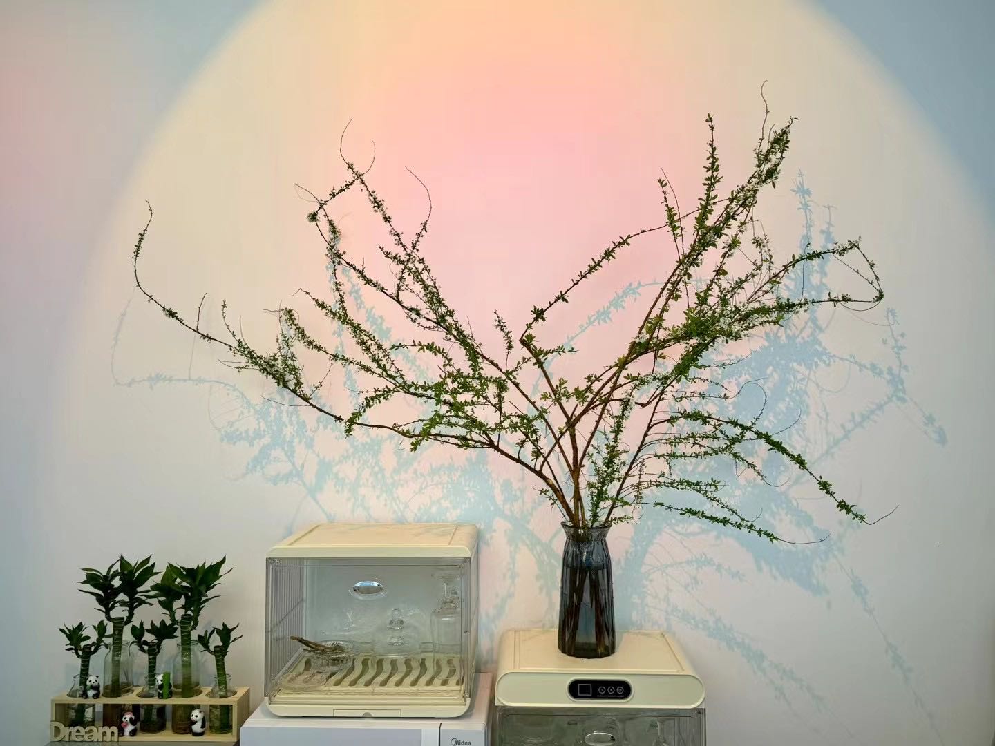 鼎奢·塞拉菲娜美容美体中心