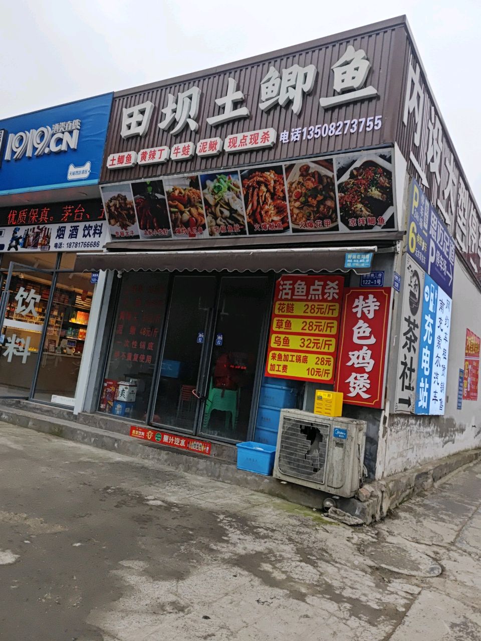 田坝土鲫鱼