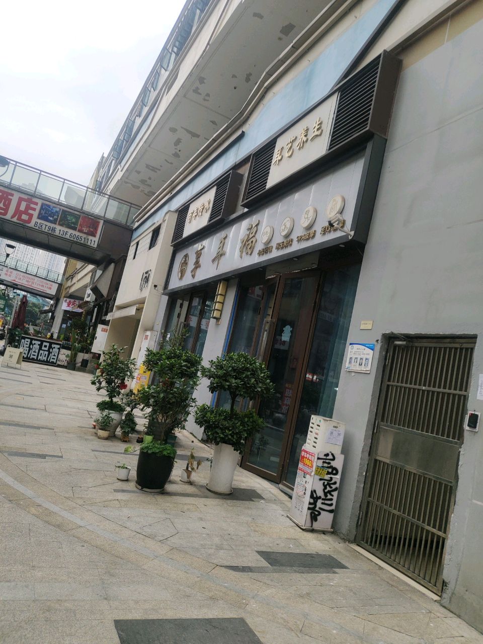 耳艺养生