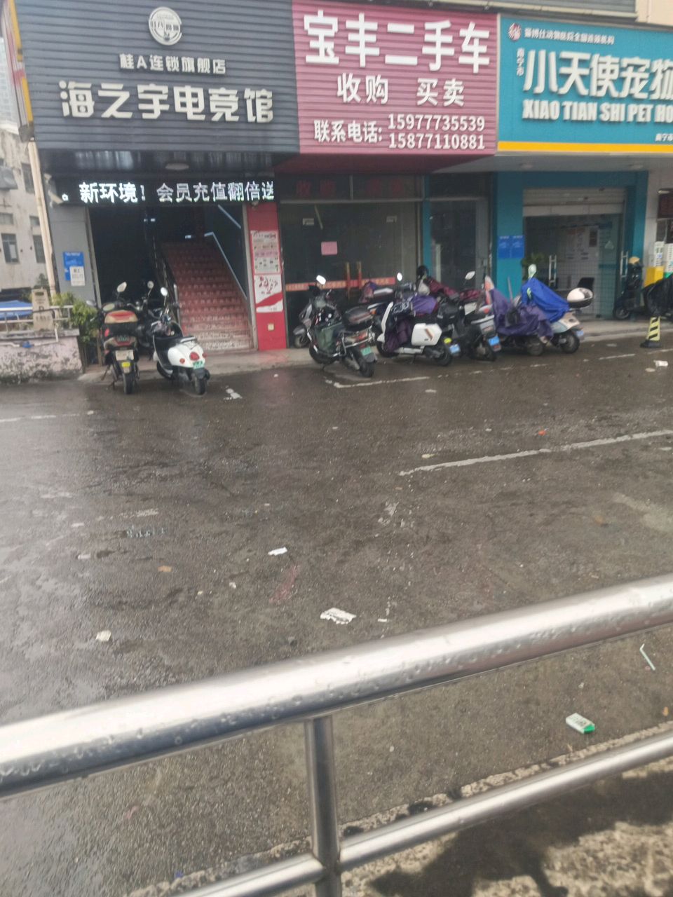 小天使宠物医院(明秀东路店)